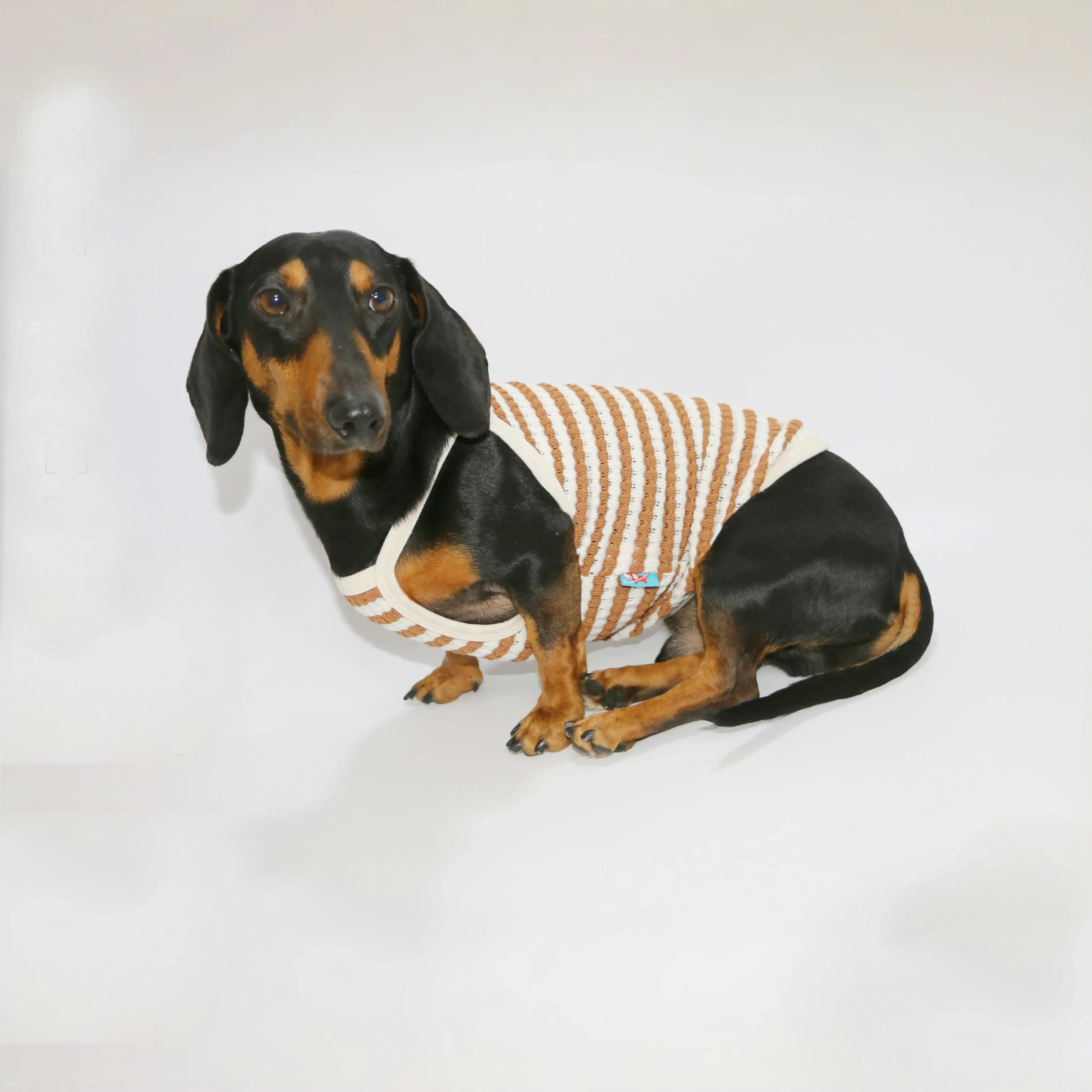 T-Shirt Eté En Coton Pour Chien Teckel