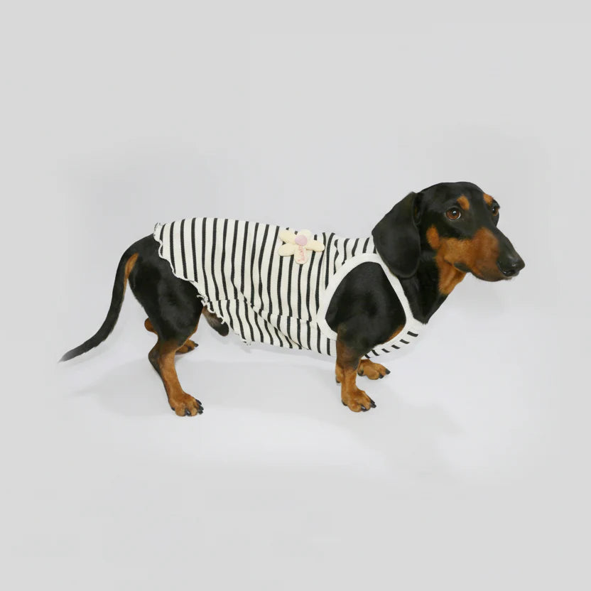 T-shirt coton pour teckel rayé noir et blanc avec un motif amusant sur le dos
