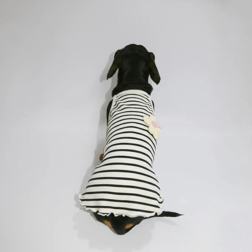 T-Shirt Eté En Coton Pour Chien Teckel