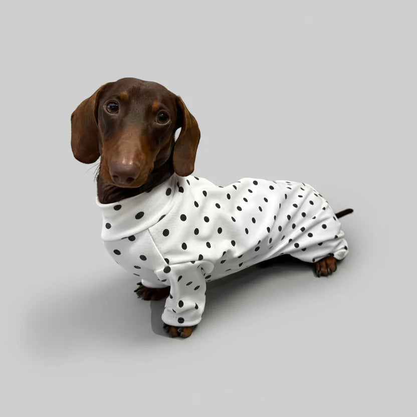 T-Shirt A Pois En Coton Doux Pour Teckel