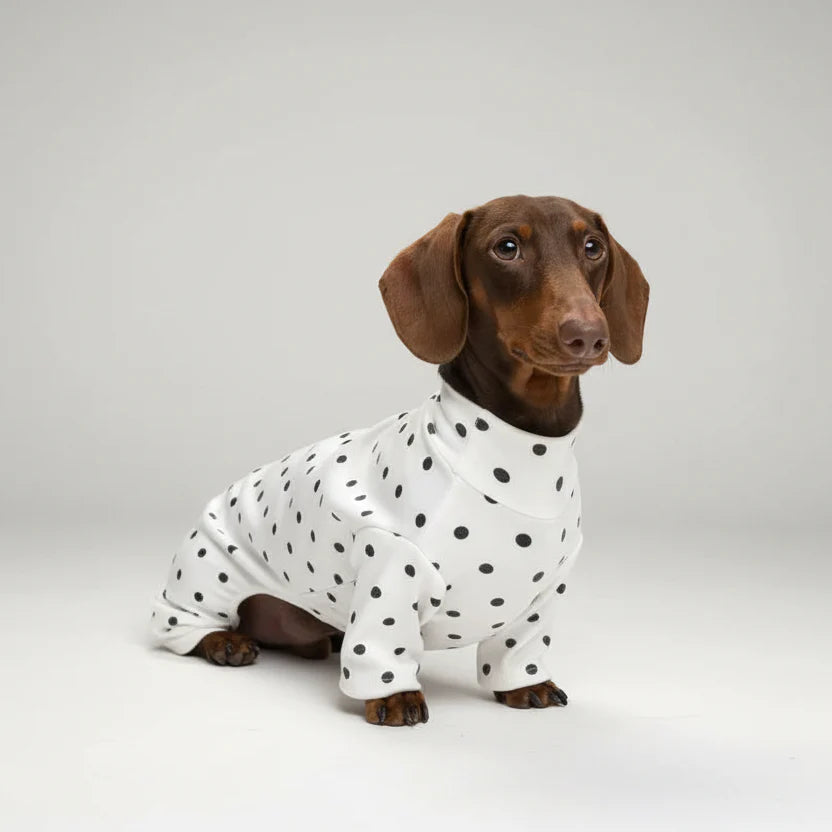 T-Shirt A Pois En Coton Doux Pour Teckel