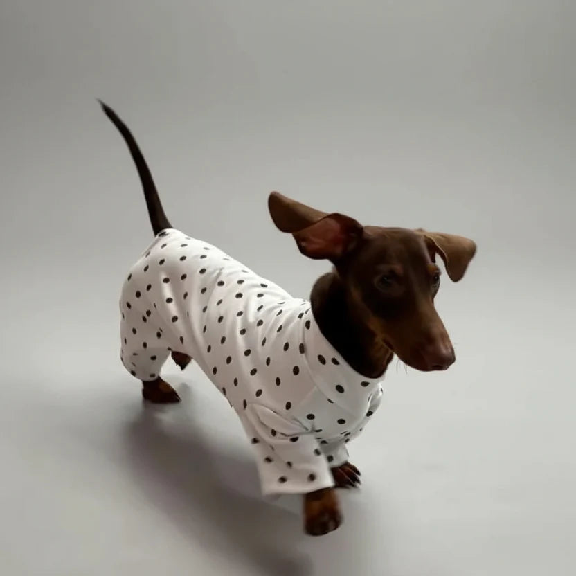 T-Shirt A Pois En Coton Doux Pour Teckel