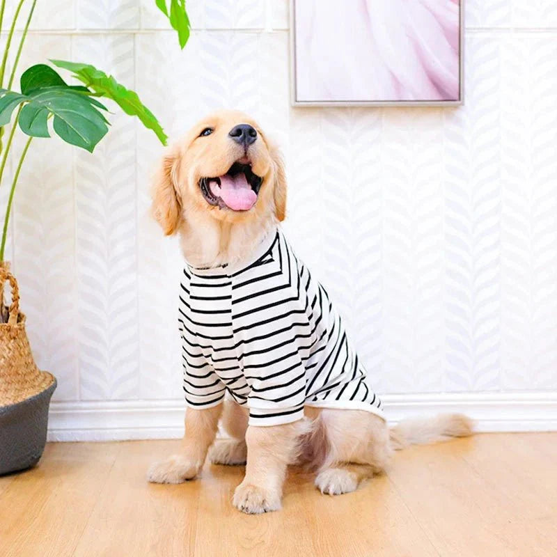 T-Shirt Grand Chien