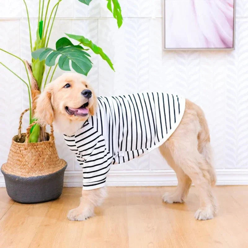 T-Shirt Grand Chien