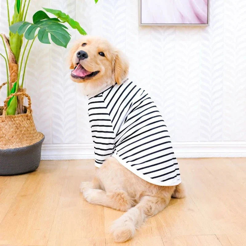 T-Shirt Grand Chien