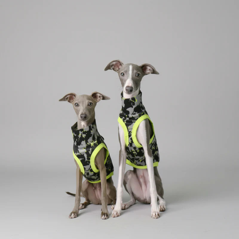 T-Shirt Pour Lévrier Italien Et Whippet Respirant Anti UV
