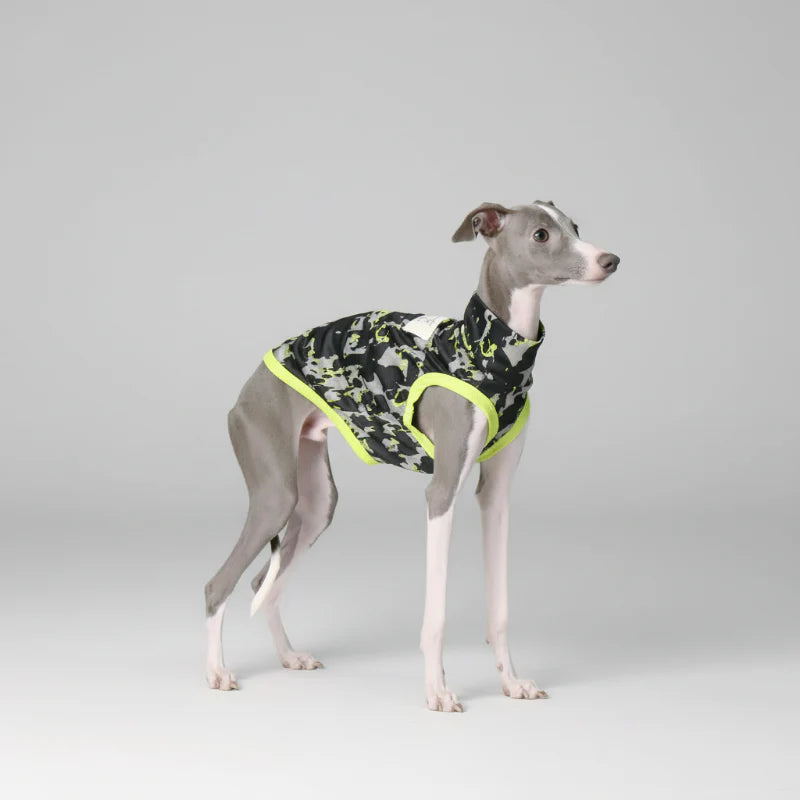 T-Shirt Pour Lévrier Italien Et Whippet Respirant Anti UV