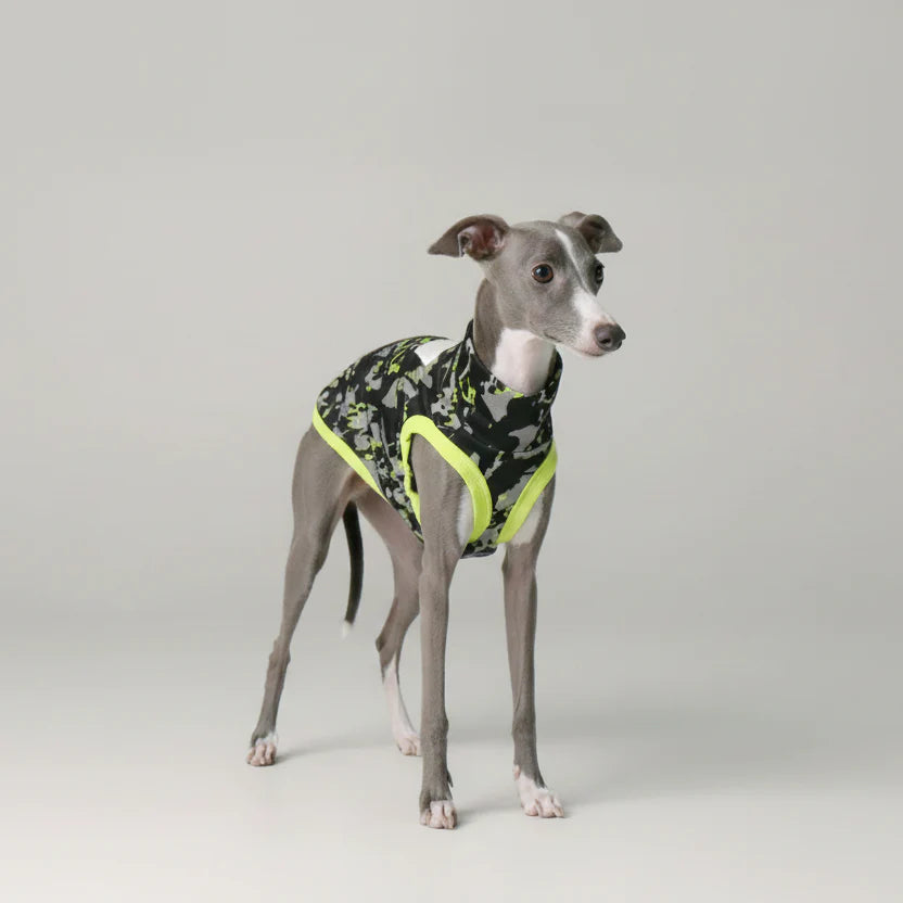 T-shirt lévrier anti uv pour chien avec motif camouflage noir et jaune vif
