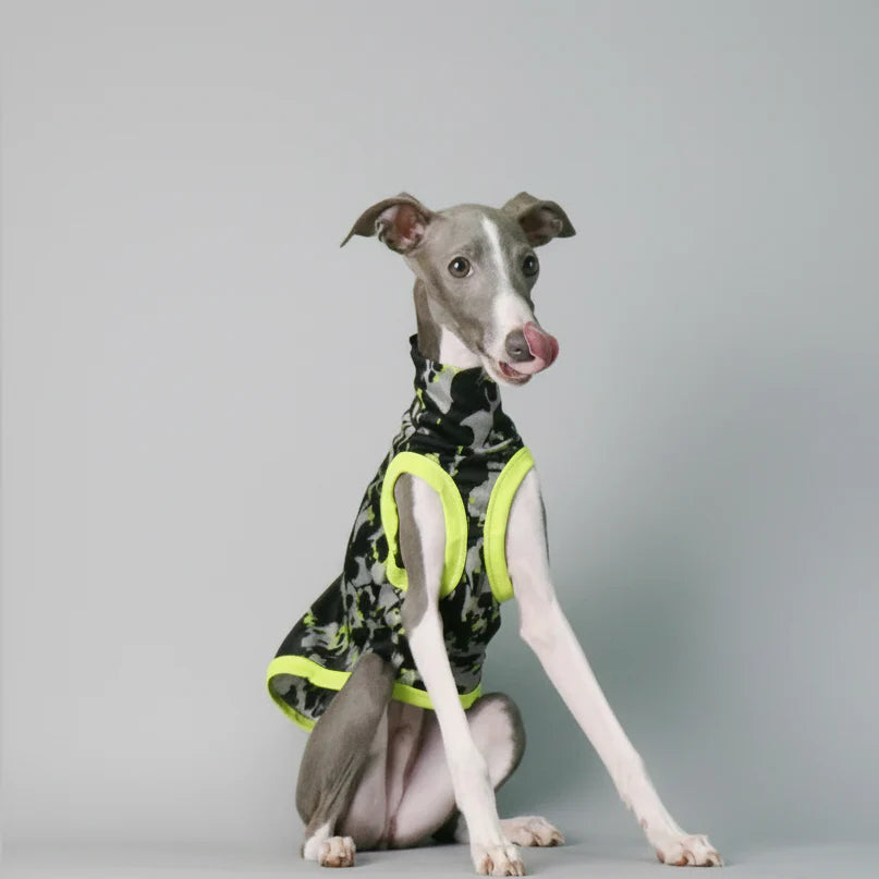 T-Shirt Pour Lévrier Italien Et Whippet Respirant Anti UV