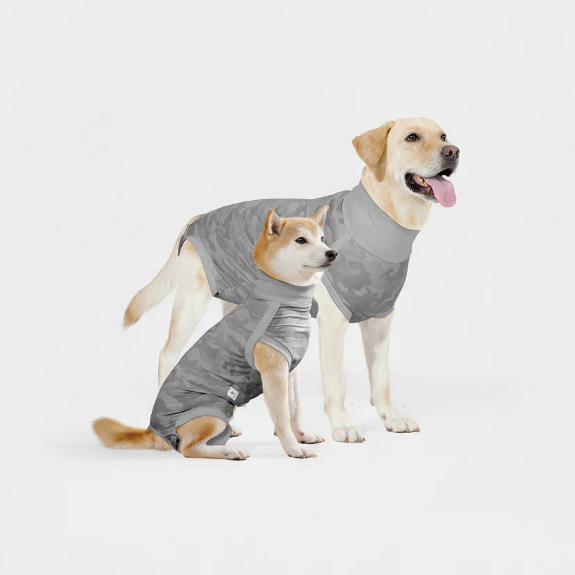 T-shirt post opératoire pour chien de couleur grise adapté pour les chiens après une opération