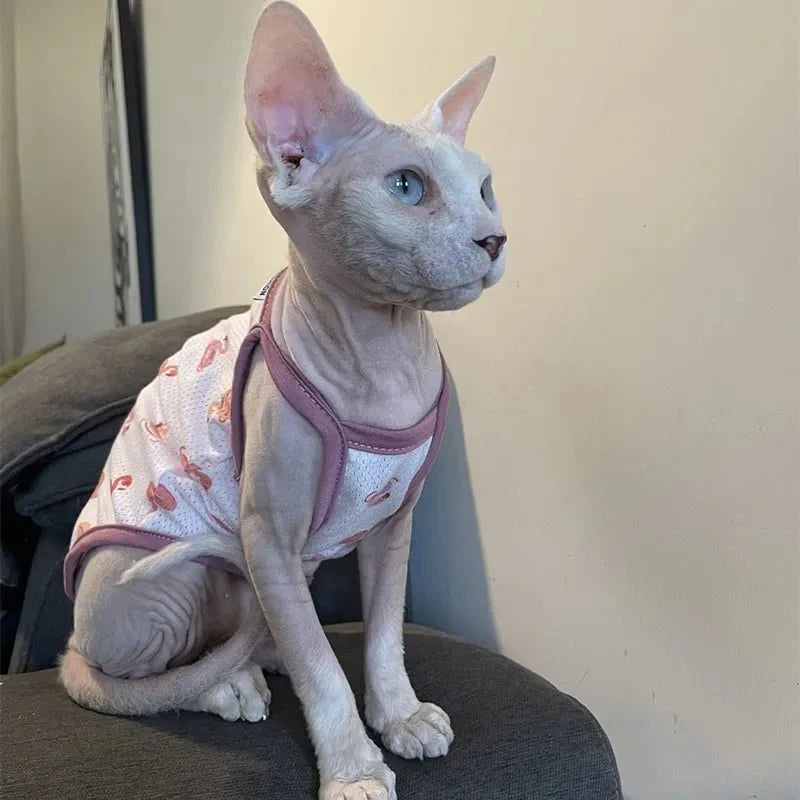 T-Shirt pour Chat sans poils
