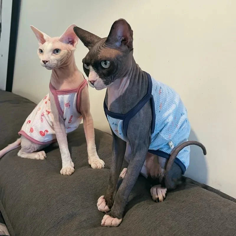 T-Shirt pour Chat sans poils
