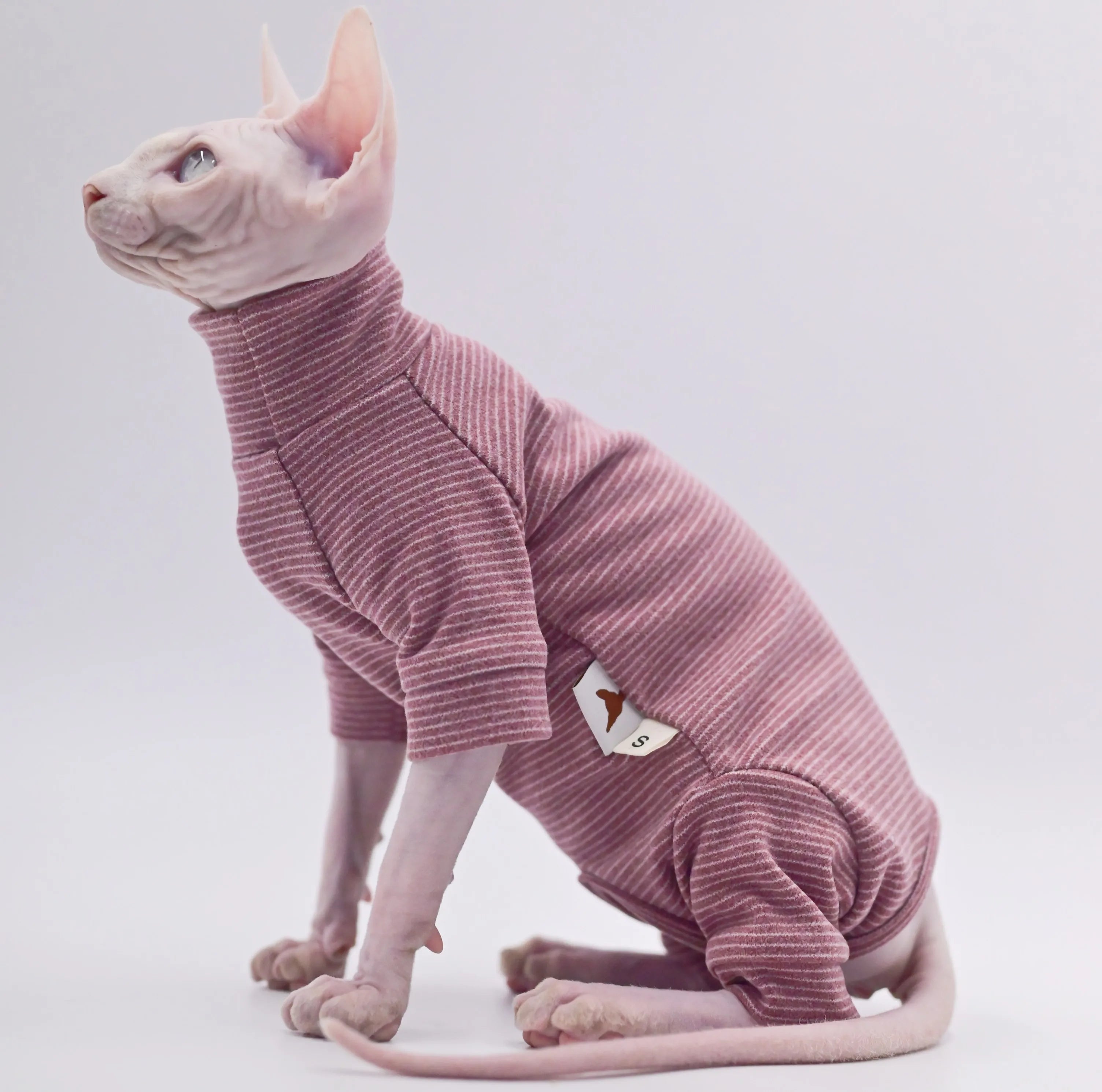 T-shirt Pour Chat Sphynx, Devon Rex, Cornish