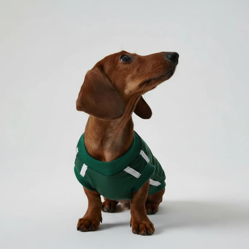 T-Shirt Confortable En Coton Pour Chien Teckel