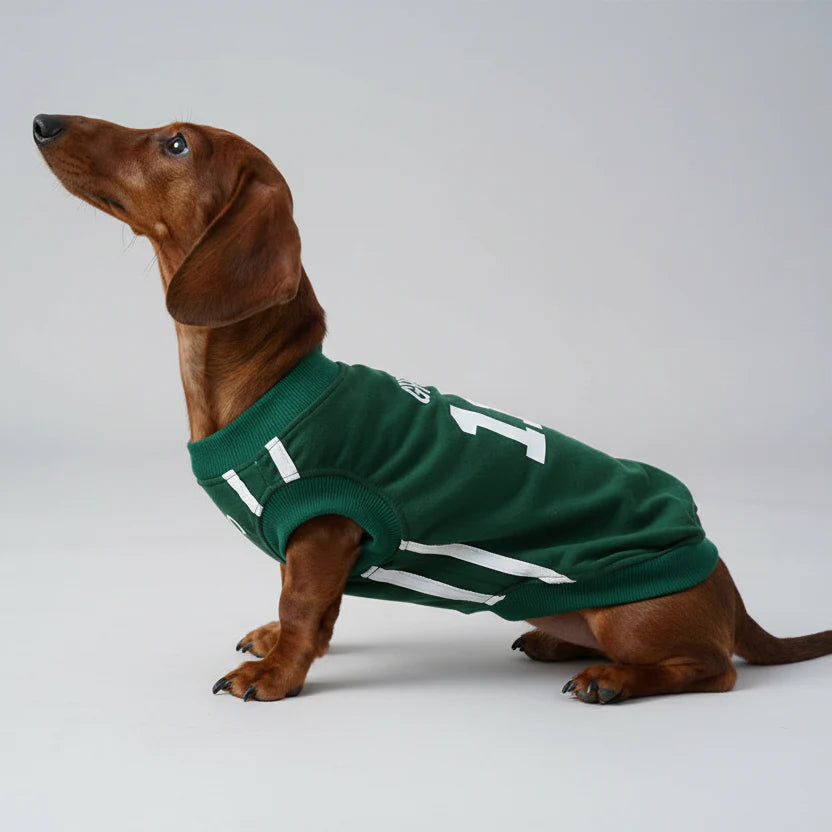 T-Shirt Confortable En Coton Pour Chien Teckel
