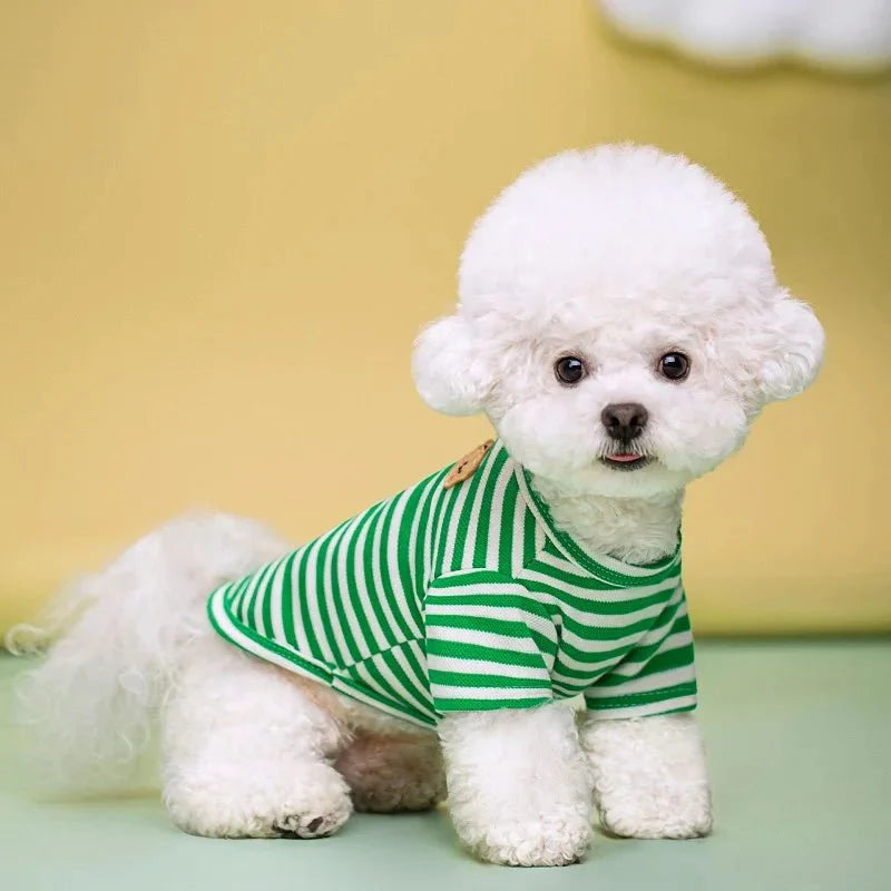 T-Shirt pour Chihuahua & petit chien