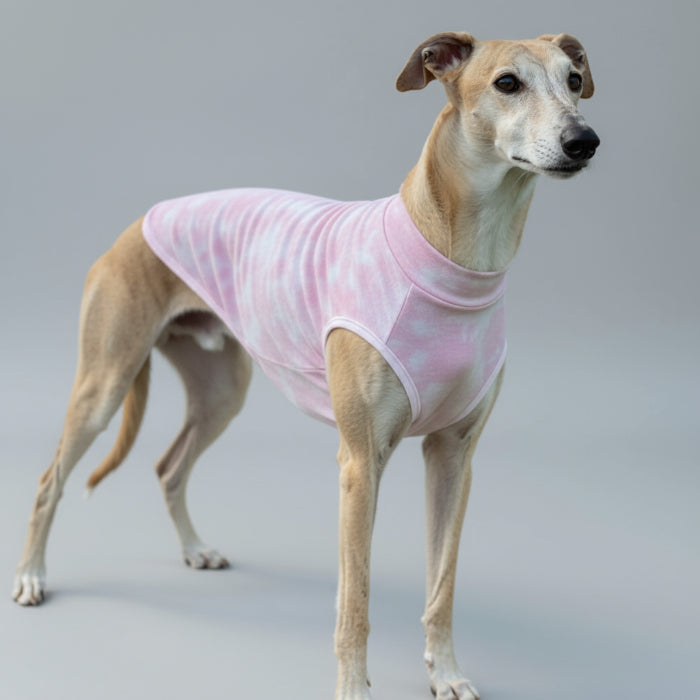 T-shirt protection lévrier et whippet - confort et design - Oscar et Plume