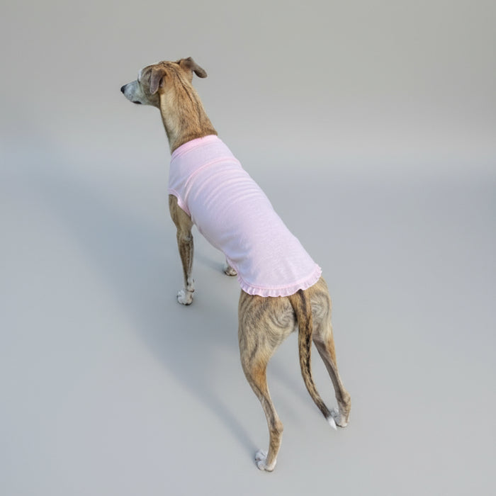 T-shirt protection lévrier et whippet - confort et design - Oscar et Plume