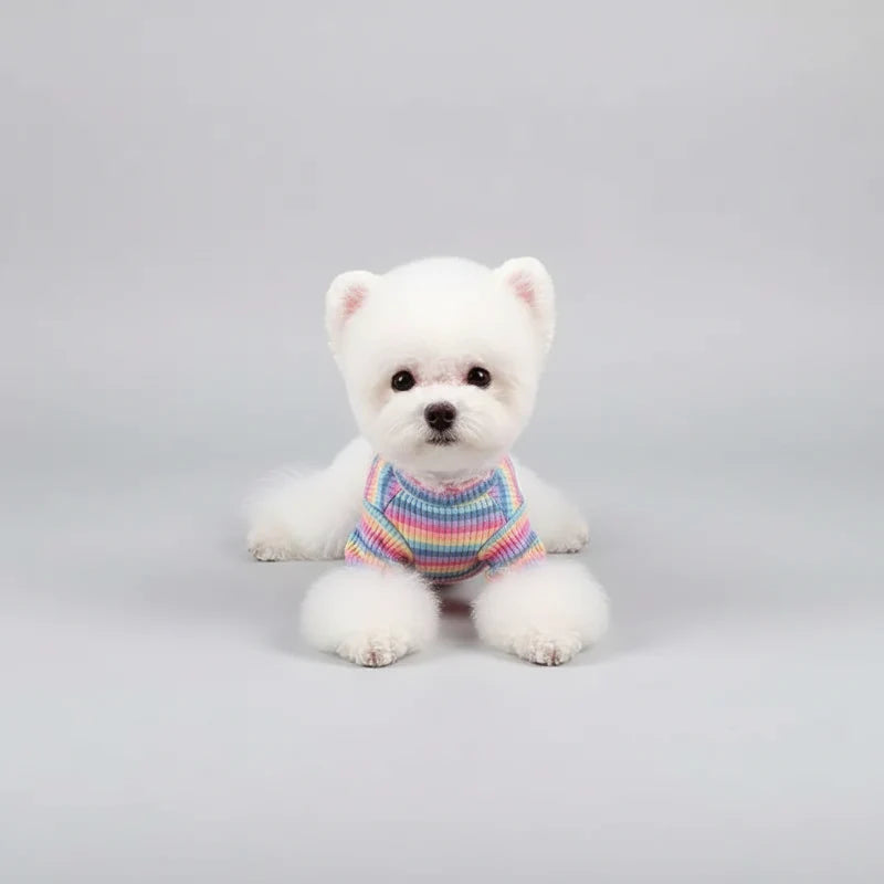T-shirt Rayé Et Moderne Pour Petit Chien