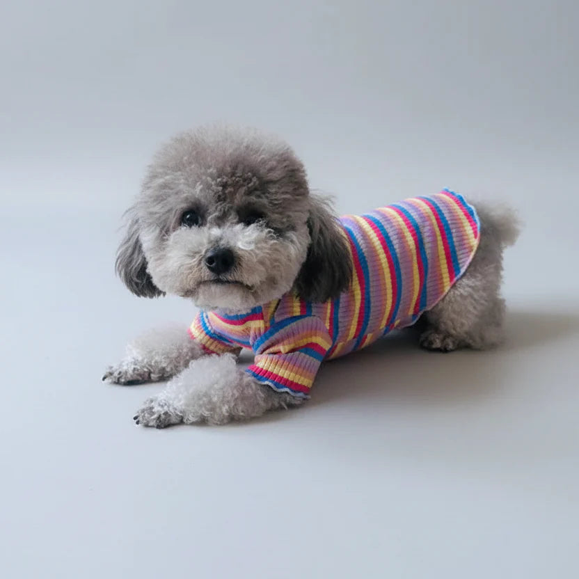 T-shirt Rayé Et Moderne Pour Petit Chien