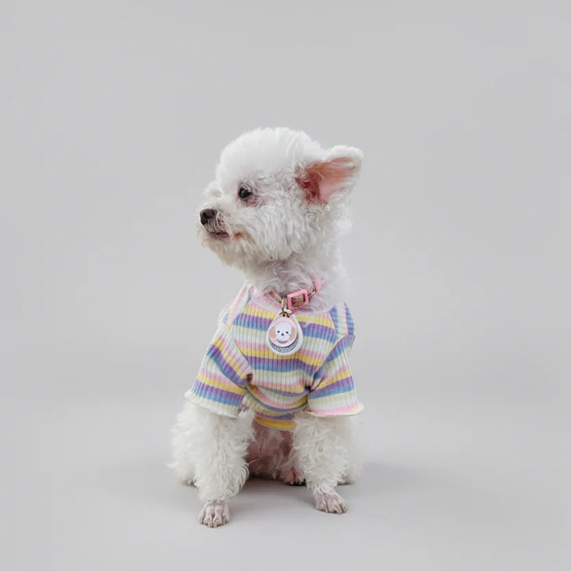 T-shirt Rayé Et Moderne Pour Petit Chien