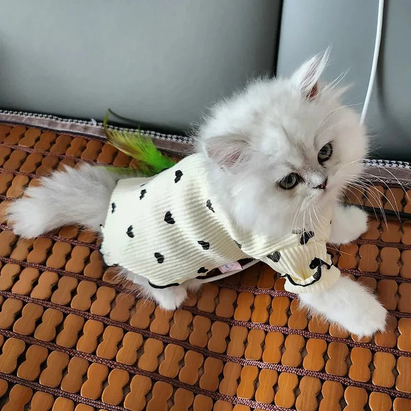 T-Shirt pour Sphynx