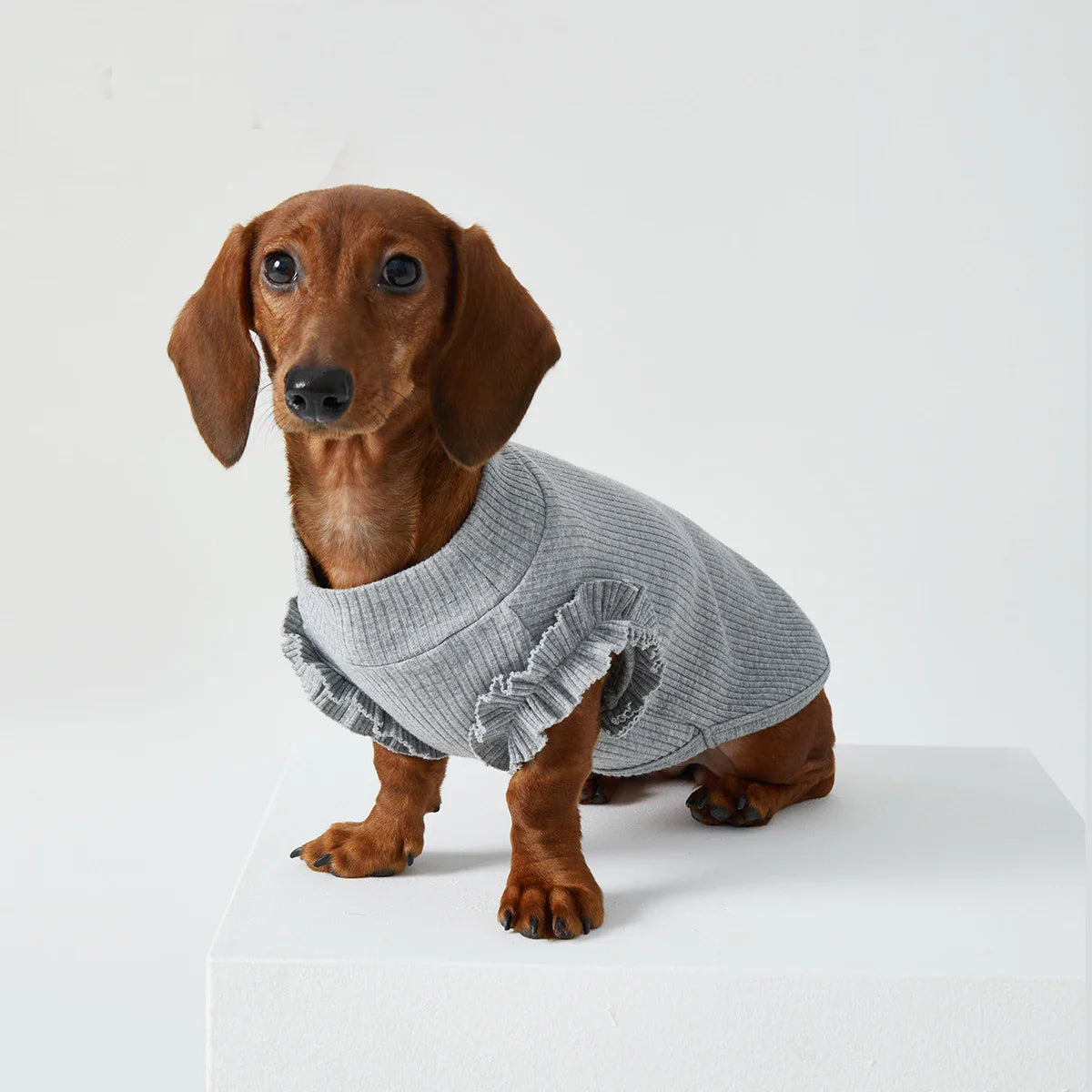 T-shirt Manches Avec Volants Pour Teckel
