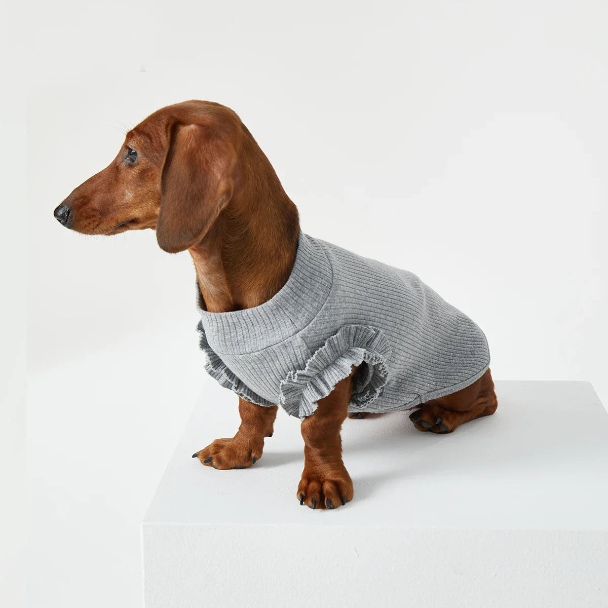 T-shirt pour teckel avec volants en gris, parfait pour le style de votre chien