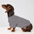 T-shirt pour teckel en gris, conçu pour le confort et le style des petits chiens
