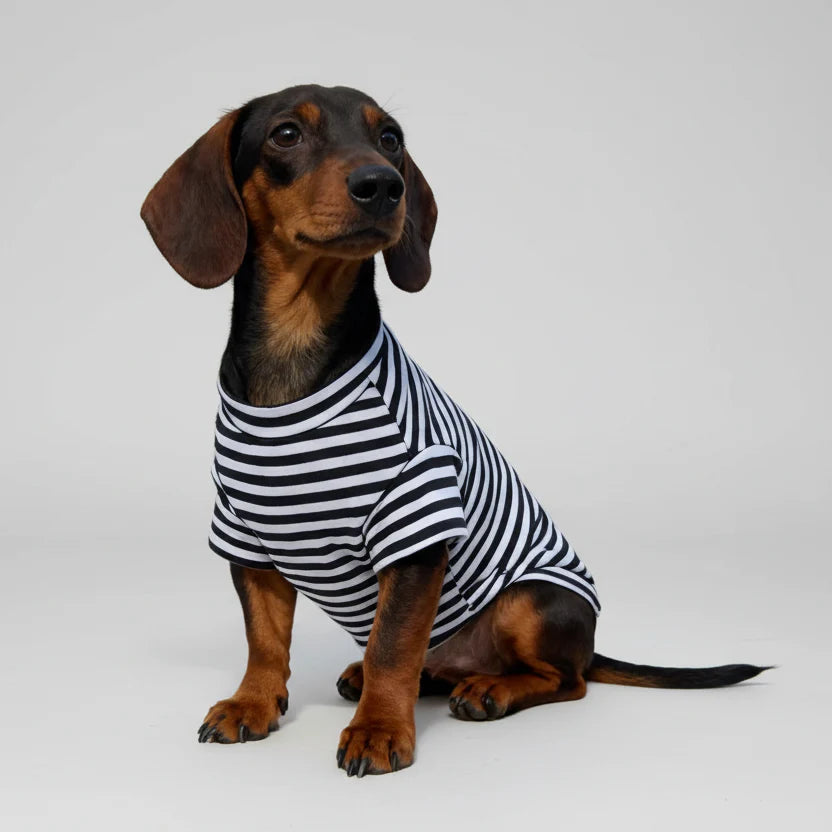 T-Shirt Rayé En Coton Manches Courtes Pour Teckel