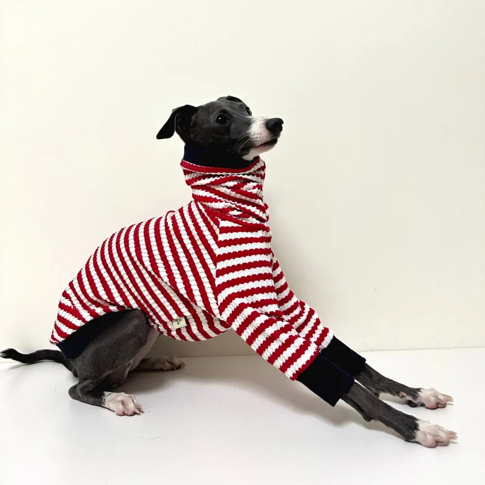 T-Shirt Pour Whippet Et Lévrier Avec Col Haut