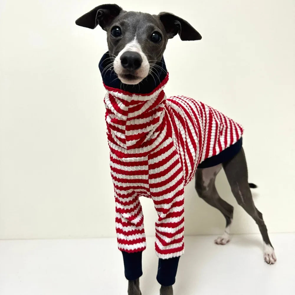 T-Shirt Pour Whippet Et Lévrier Avec Col Haut