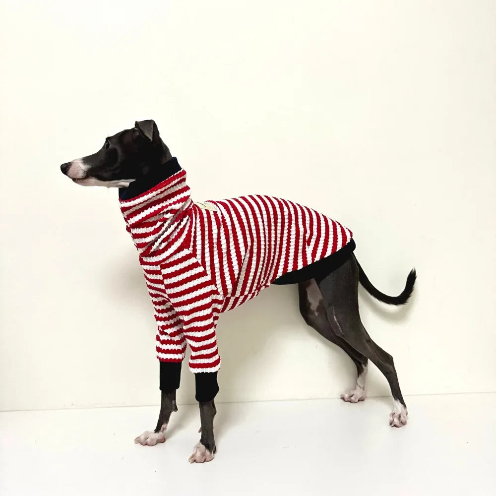 T-Shirt Pour Whippet Et Lévrier Avec Col Haut