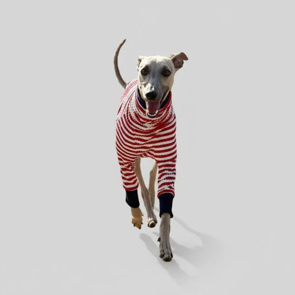 T-Shirt Pour Whippet Et Lévrier Avec Col Haut