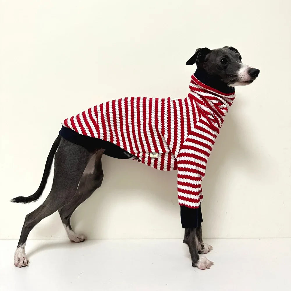 Chien whippet portant un t-shirt pour whippet rayé rouge et blanc de Oscar et Plume