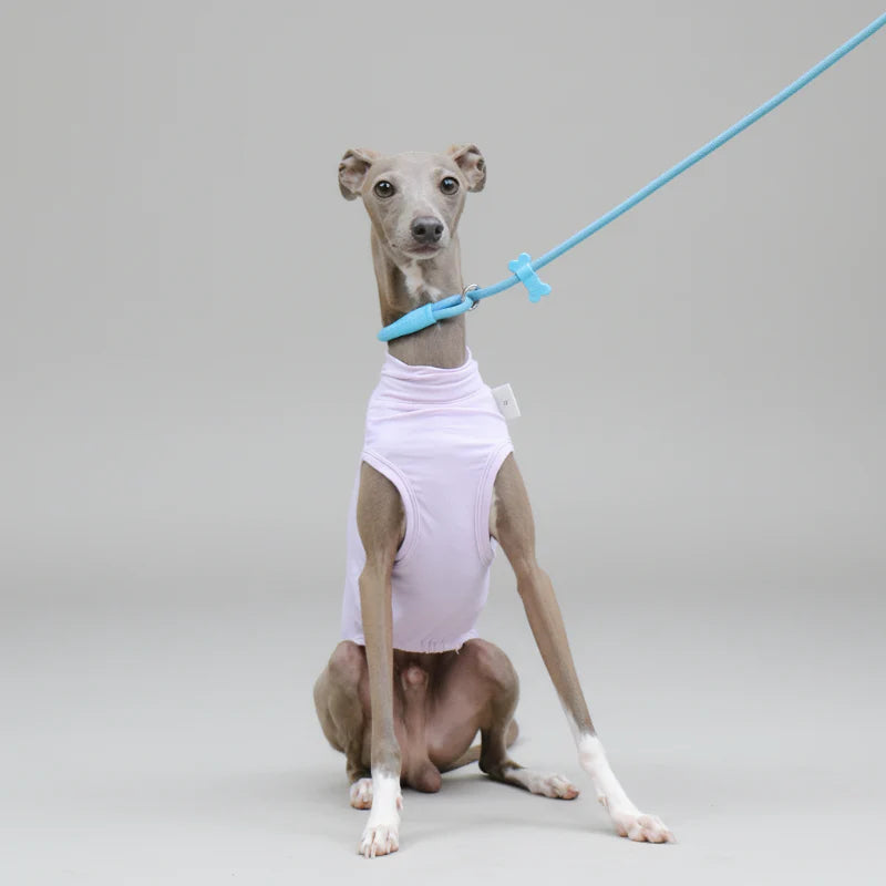 T-shirt De Protection Pour Lévrier Et Whippet