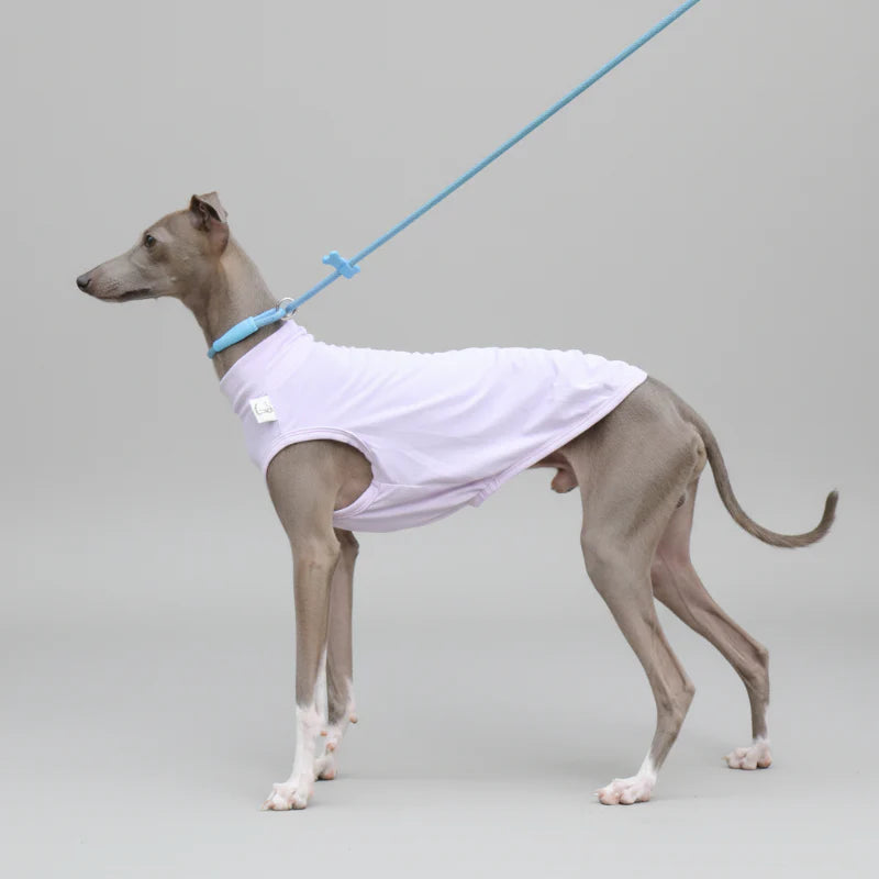 T-shirt De Protection Pour Lévrier Et Whippet