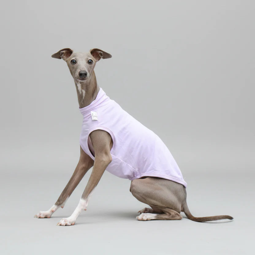 T-shirt De Protection Pour Lévrier Et Whippet