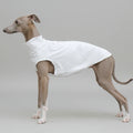 T-shirt protection solaire Lévrier blanc pour chiens, conçu pour un confort optimal en extérieur