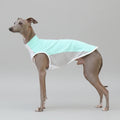 T-shirt rafraîchissant lévrier en tissu léger avec maille pour garder votre chien frais