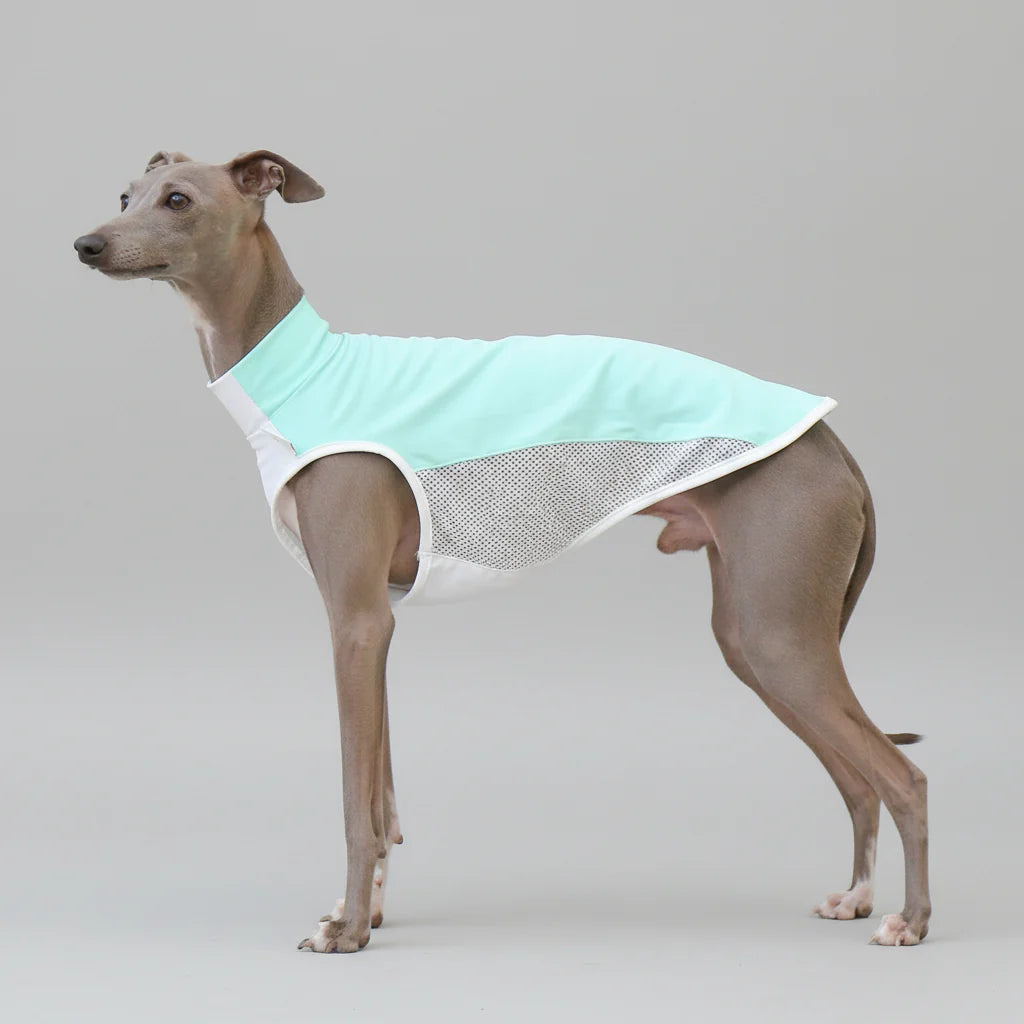 T-shirt rafraîchissant lévrier en tissu léger avec maille pour garder votre chien frais