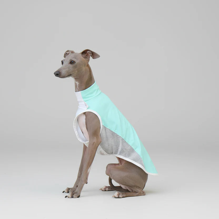 T-shirt Rafraîchissant Pour Lévrier Et Whippet