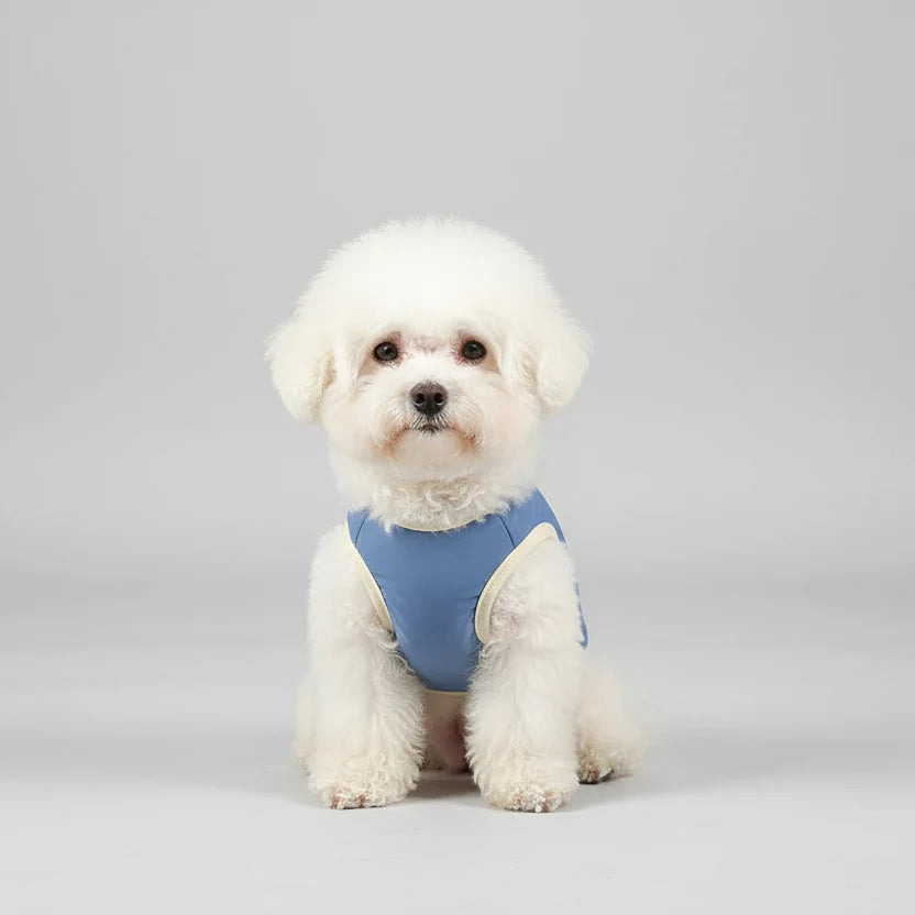T-shirt Rafraîchissant Pour Petit Et Moyen Chien