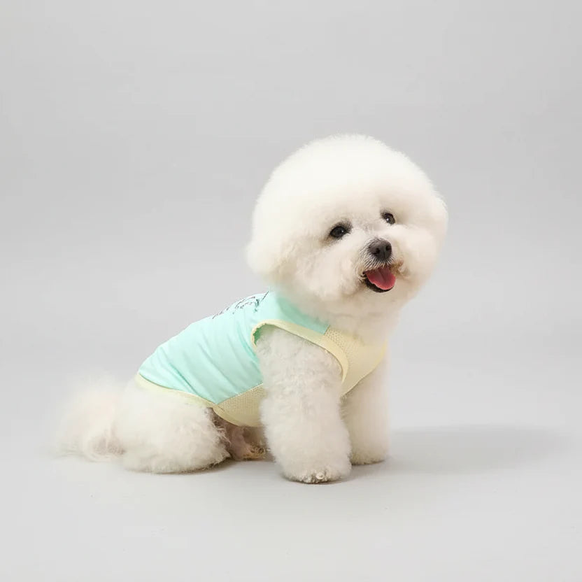 T-shirt Rafraîchissant Pour Petit Et Moyen Chien