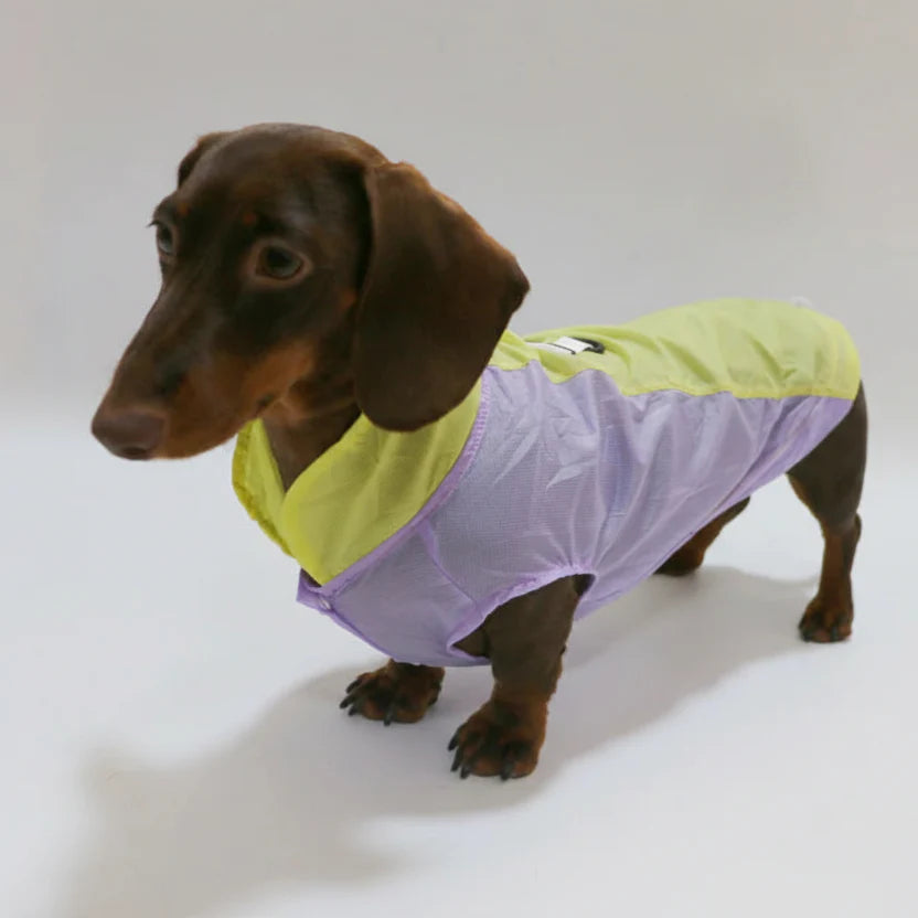 T-Shirt Rafraîchissant Pour Chien Teckel