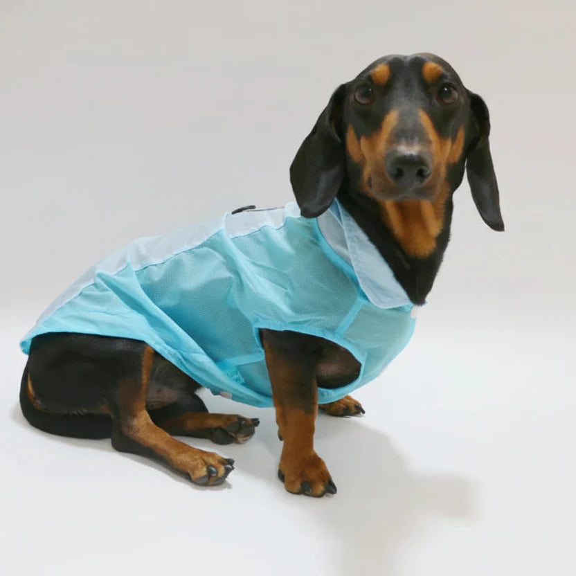 T-Shirt Rafraîchissant Pour Chien Teckel