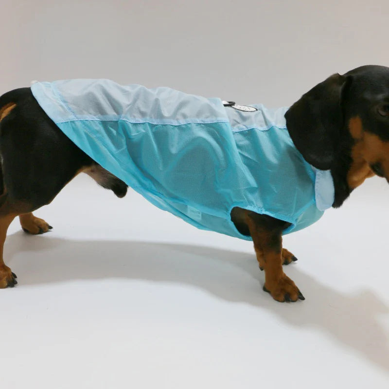 T-Shirt Rafraîchissant Pour Chien Teckel