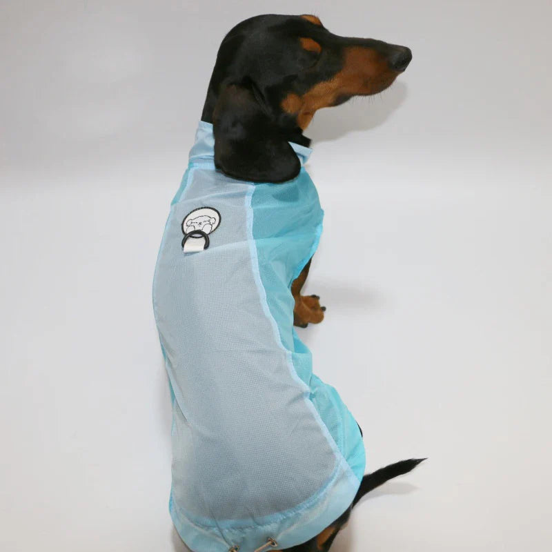 T-shirt rafraîchissant pour teckel en bleu clair, parfait pour garder votre chien au frais.
