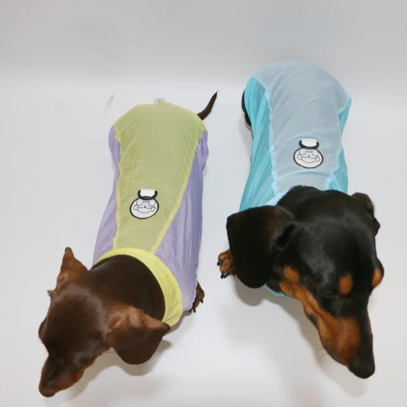 T-Shirt Rafraîchissant Pour Chien Teckel