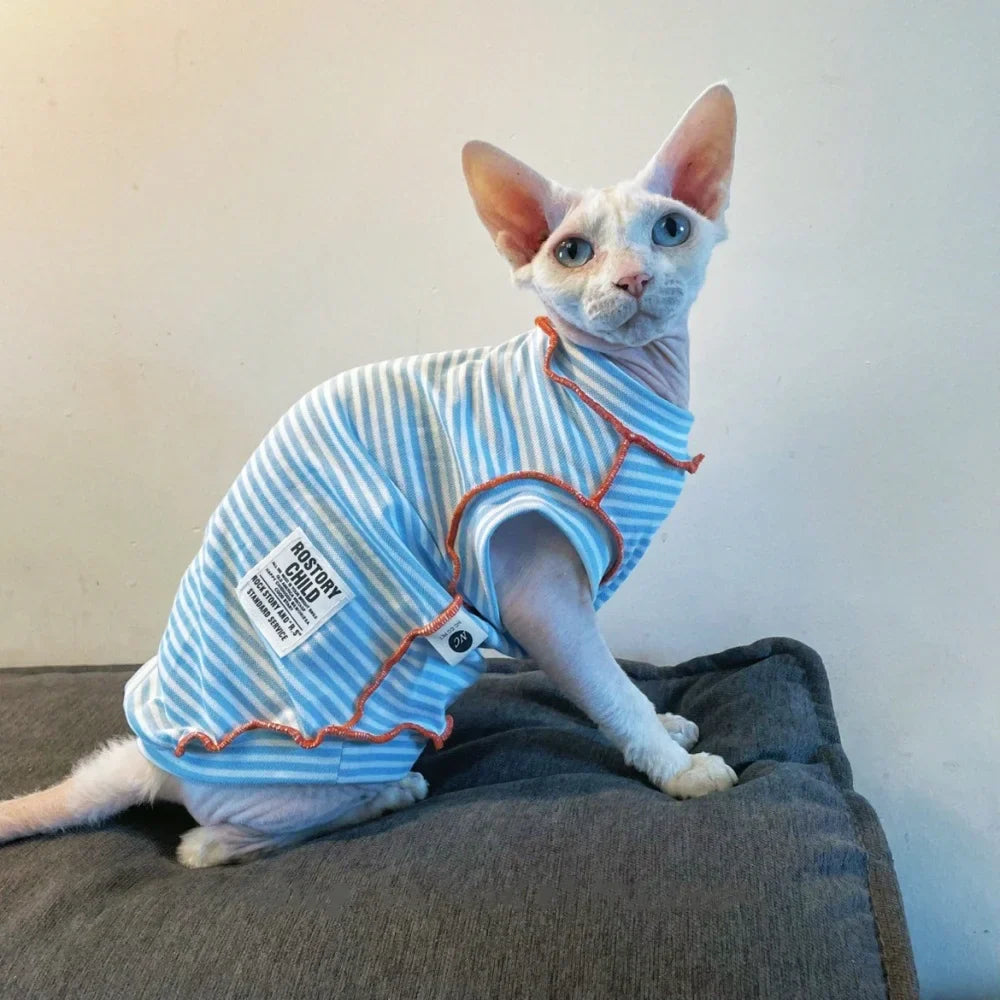 T shirt rayé bleu pour chat Oscar et Plume avec des détails orange, parfait pour les félins stylés